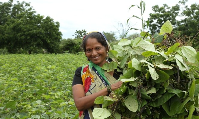 Panasonic Life Solutions India’s Holistic Village Development Program benefits 17 villages in Palghar